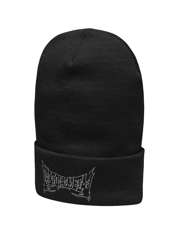 LGBTQIA Metal Beanie product image (7)