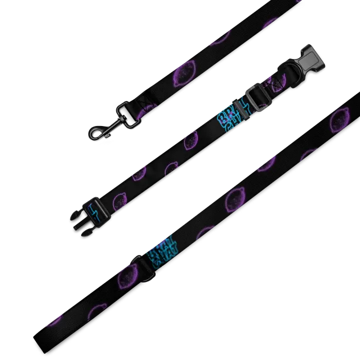 Brat Chat Leash and Collar product image (2)
