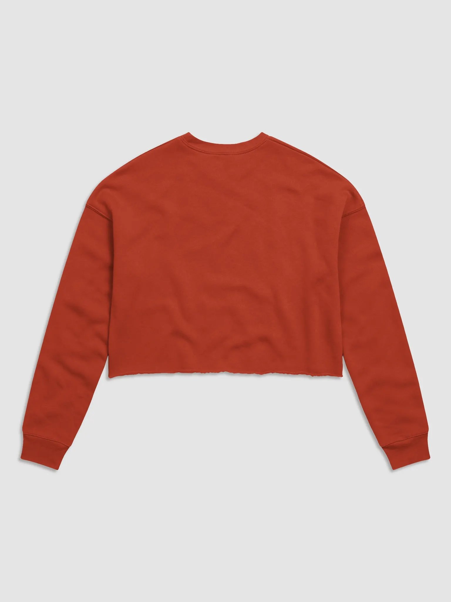 Cropped Collegiate Pullover product image (6)