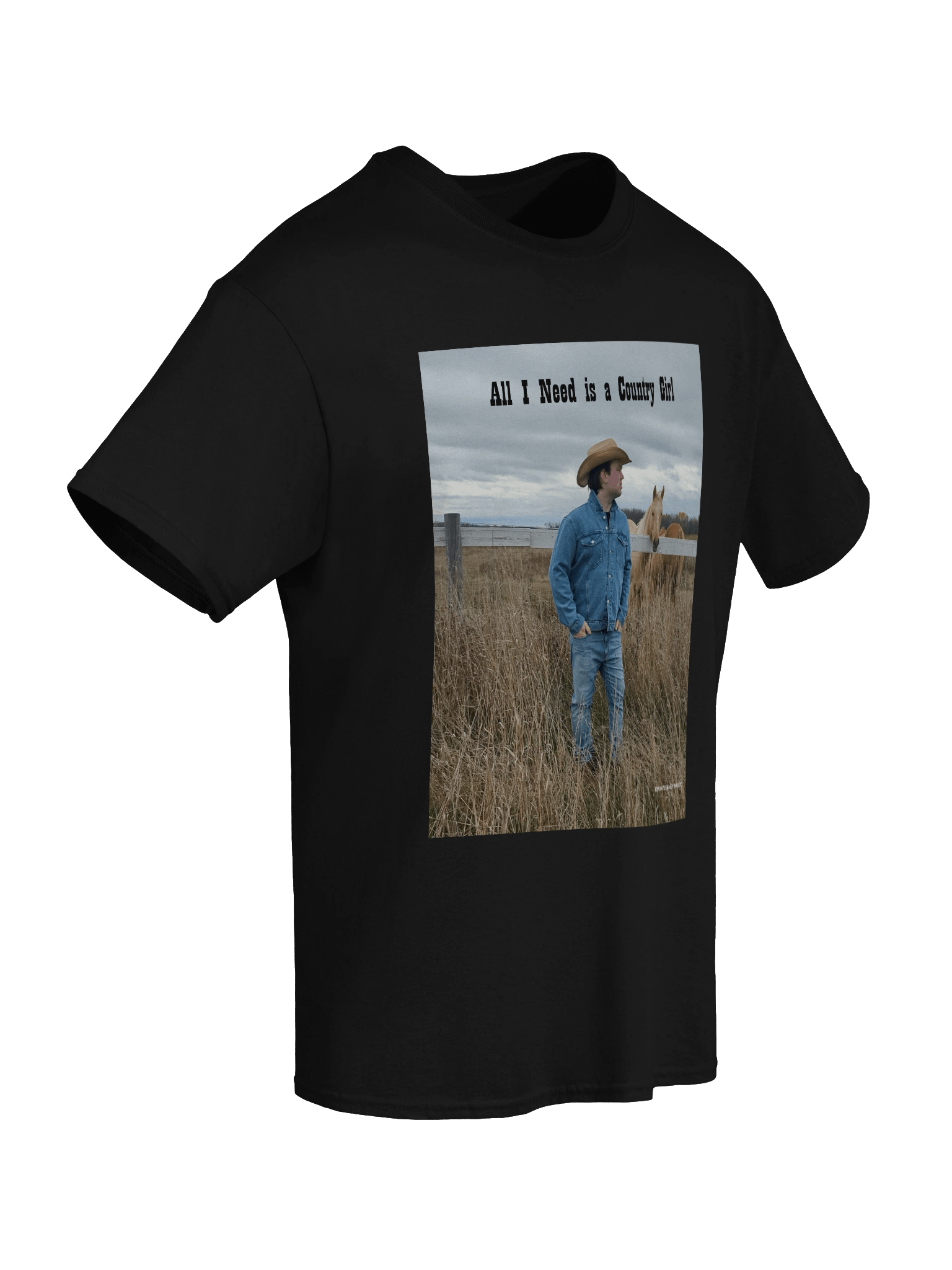 All I Need is a Country Girl Horse and Field T-Shirt product image (66)