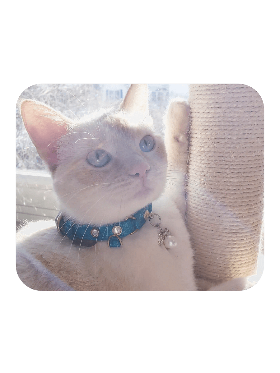 Ivry Glamour Shot product image (2)