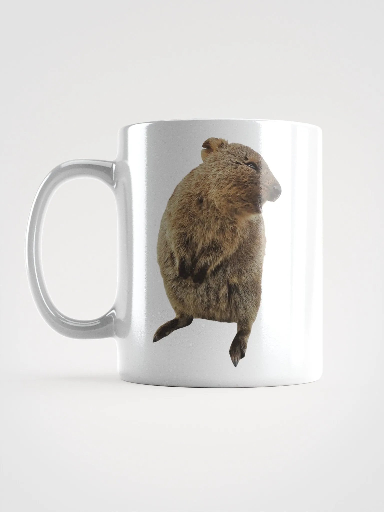 WHAT A QUOKKA SHIT MUG product image (17)