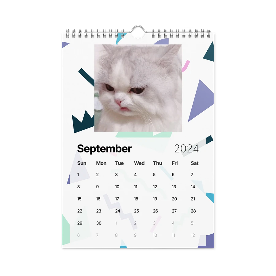 Wall Calendar (2024): Meme Cats product image (18)