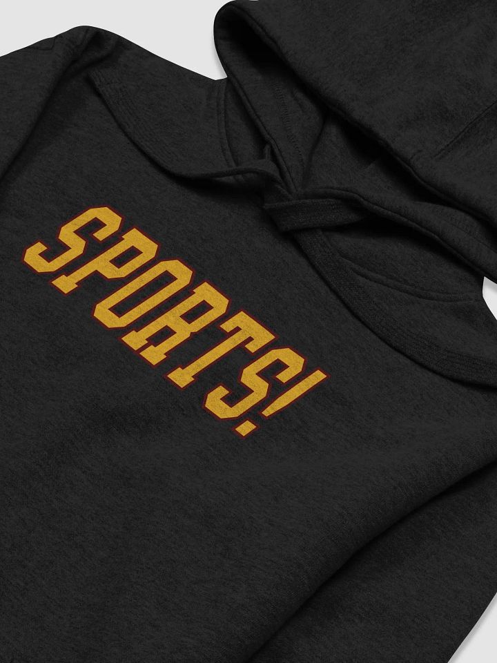 SPORTS! Hoodie (Black Alt) (BB x CH) product image (2)