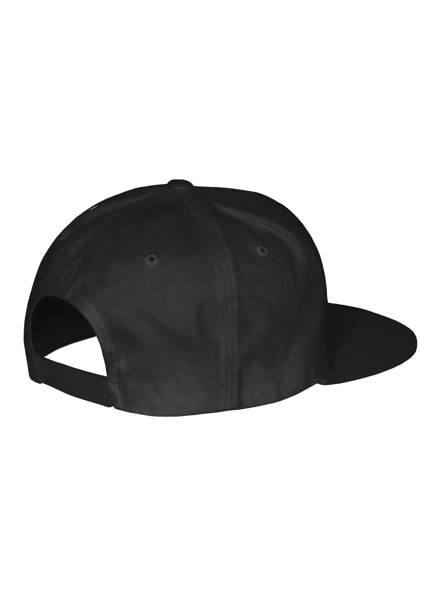 classique Snap back product image (3)