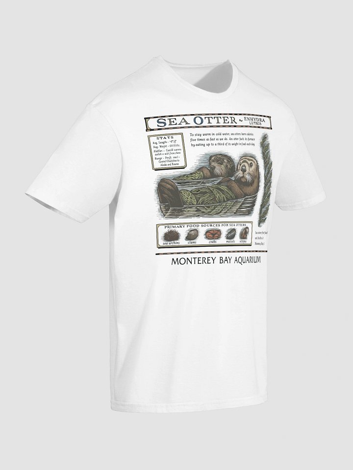 Taylor Swift Monterey Bay Aquarium Otter Shirt product image (2)