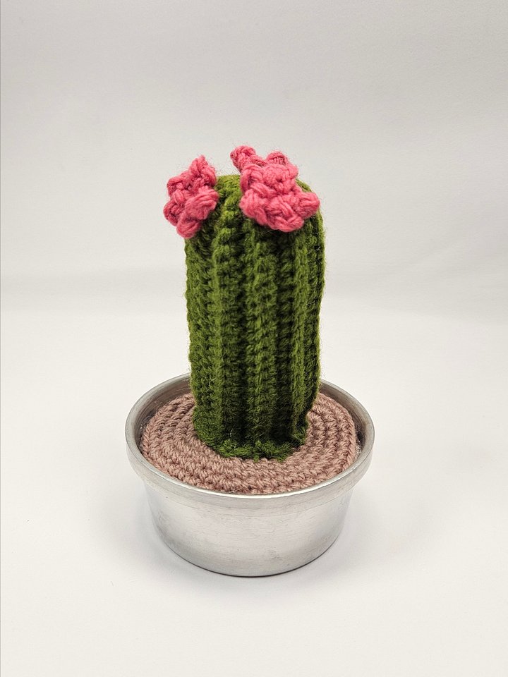 Straight Cactus product image (3)