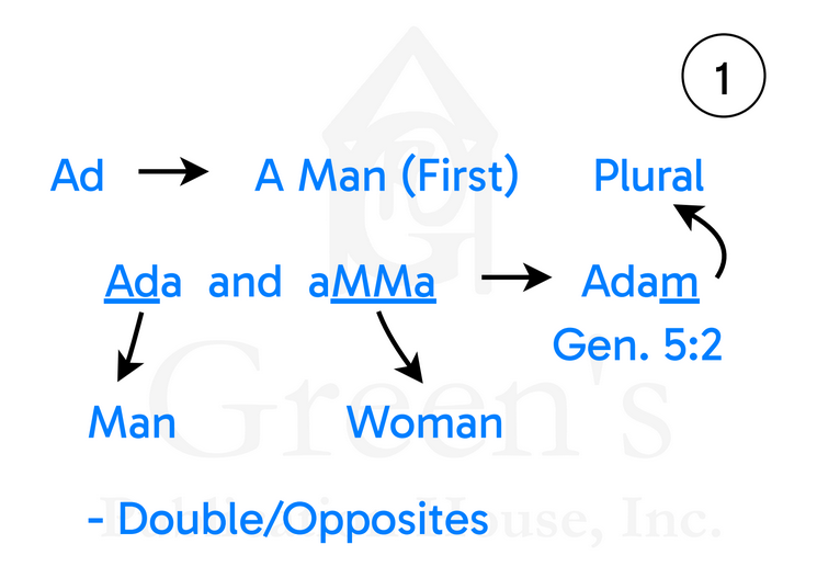 Learn Your Fire Language: Study Card Game product image (7)