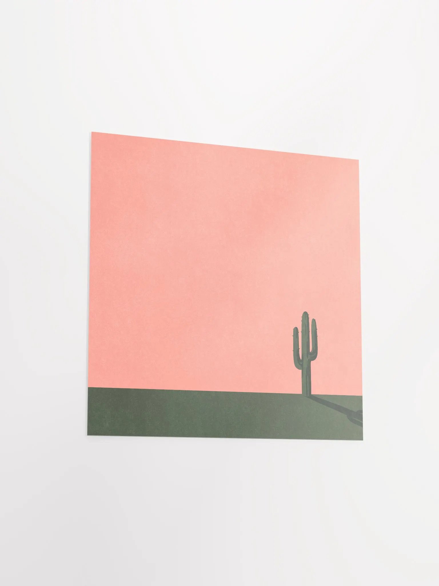 Cactus product image (3)