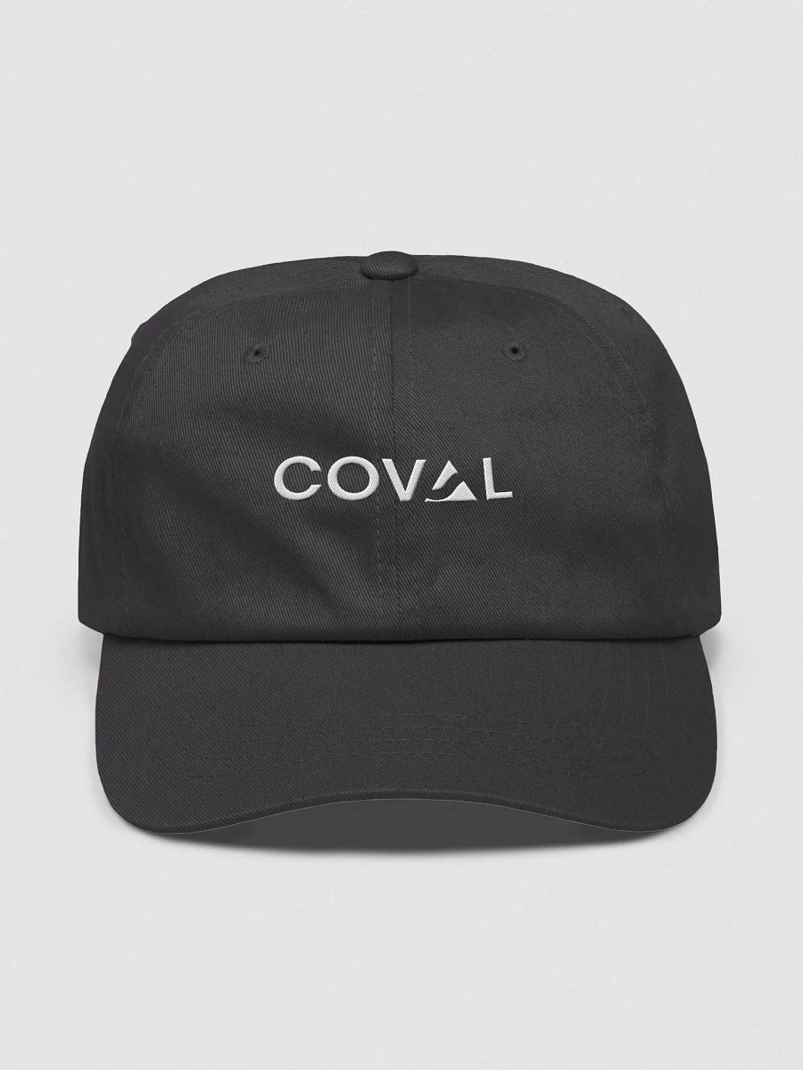 dad hat product image (1)