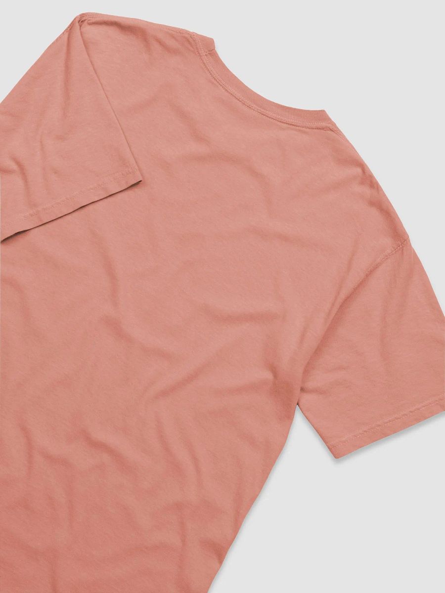 One More? Tee (Terracotta) product image (4)