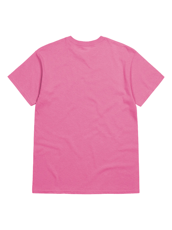"IN MY P.L.C" TEES (LIGHT) product image (2)