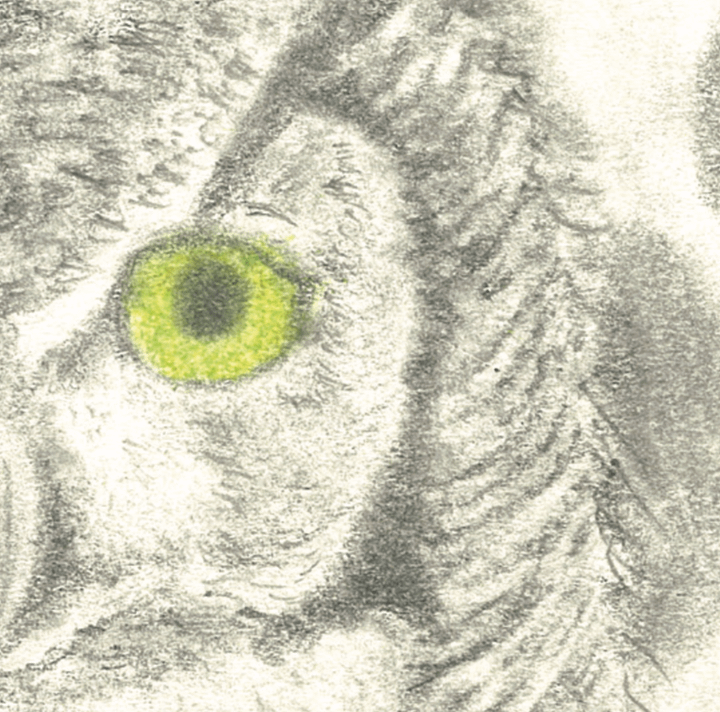 “Wise Eyes” Print product image (2)