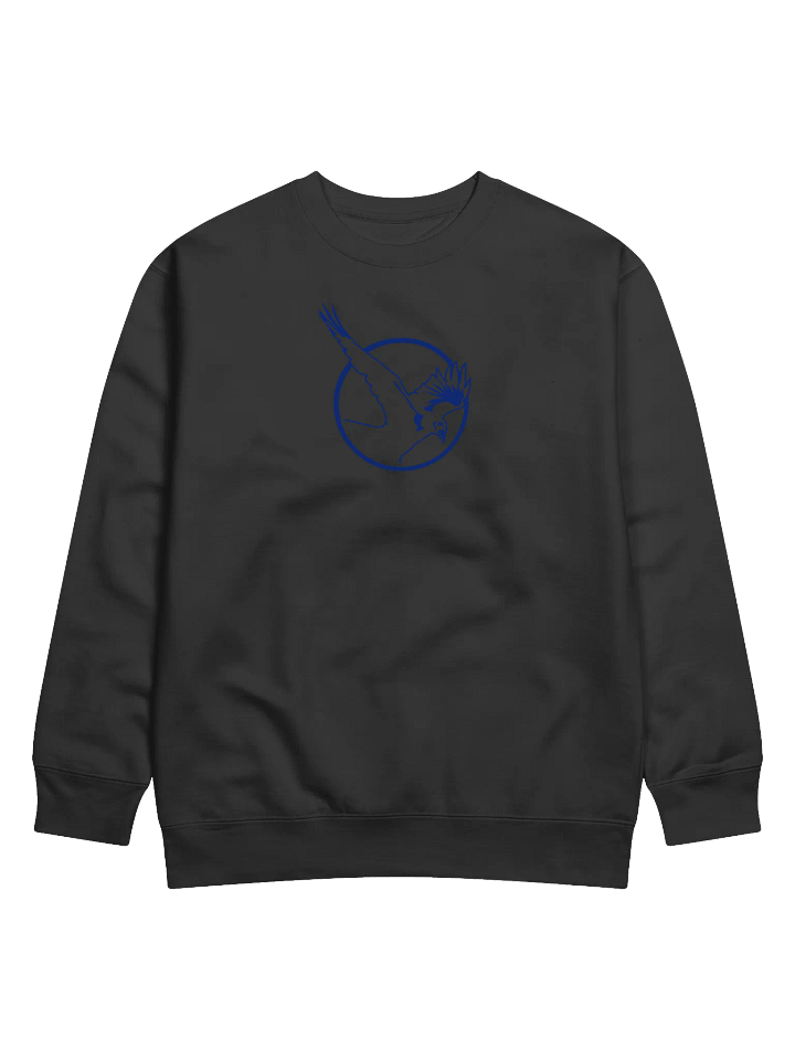 STEALTH SWEATSHIRT product image (1)