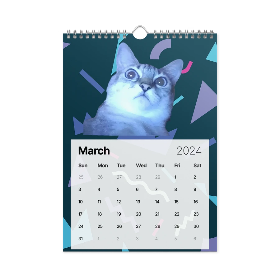 Wall Calendar (2024): Meme Cats product image (13)