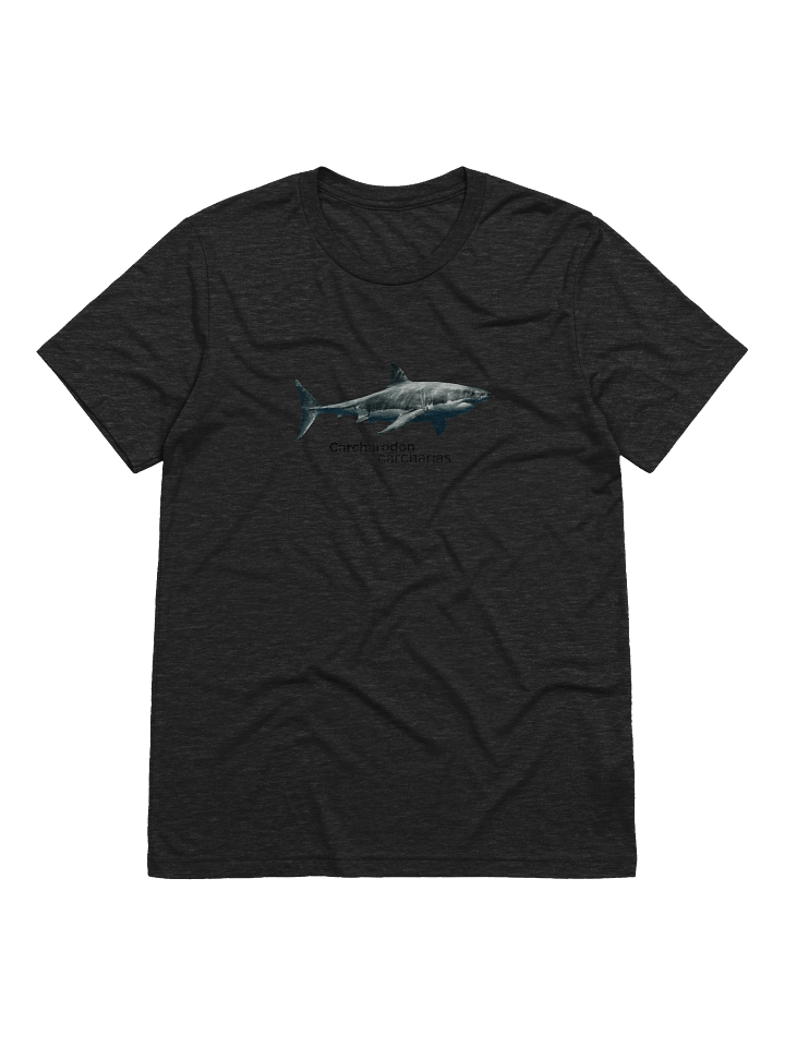 Carcharodon carcharias. product image (1)