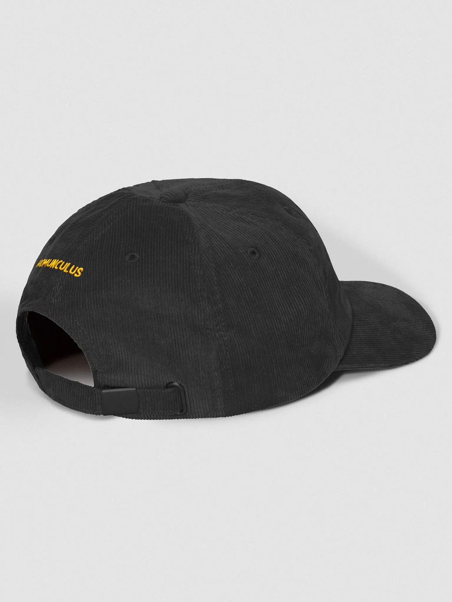 Embroidered Limon Corduroy Cap product image (3)