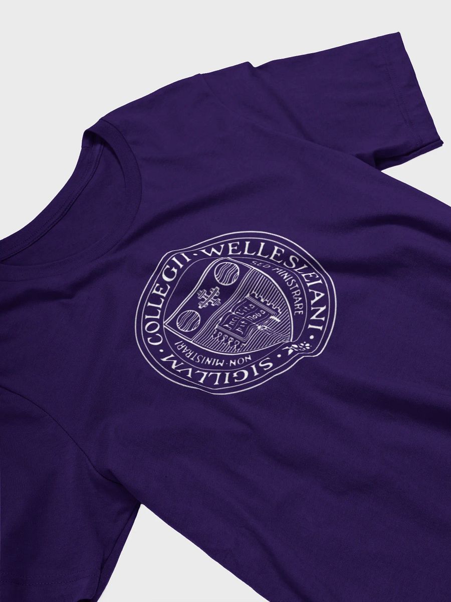 Reunion Tee with XL Wellesley College Seal product image (23)