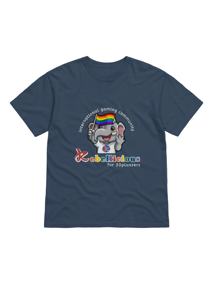 Comfort Colors Pride T-shirt product image (49)