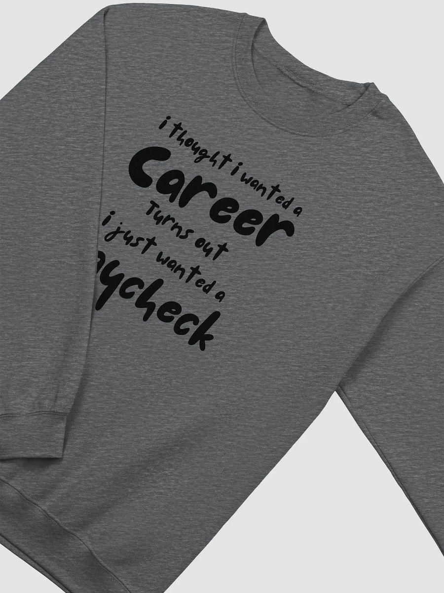 Career VS Paycheck product image (19)