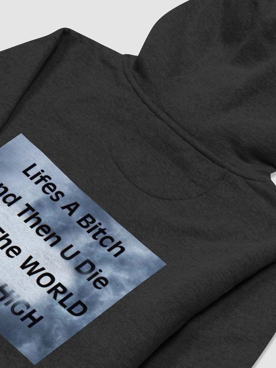 Dark Skys Logo Sweater ( Heavy Weight) product image (4)