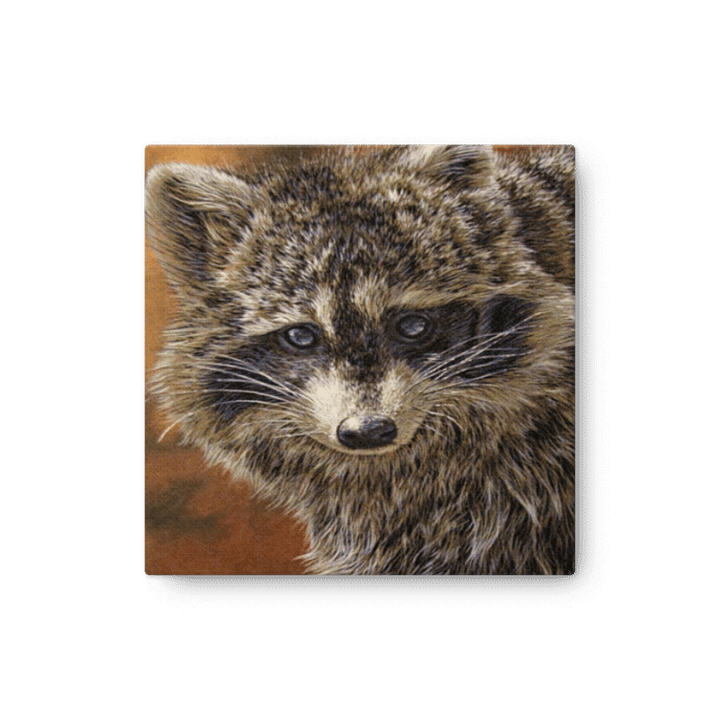 Raton/Racoon reproduction on/sur canvas product image (2)