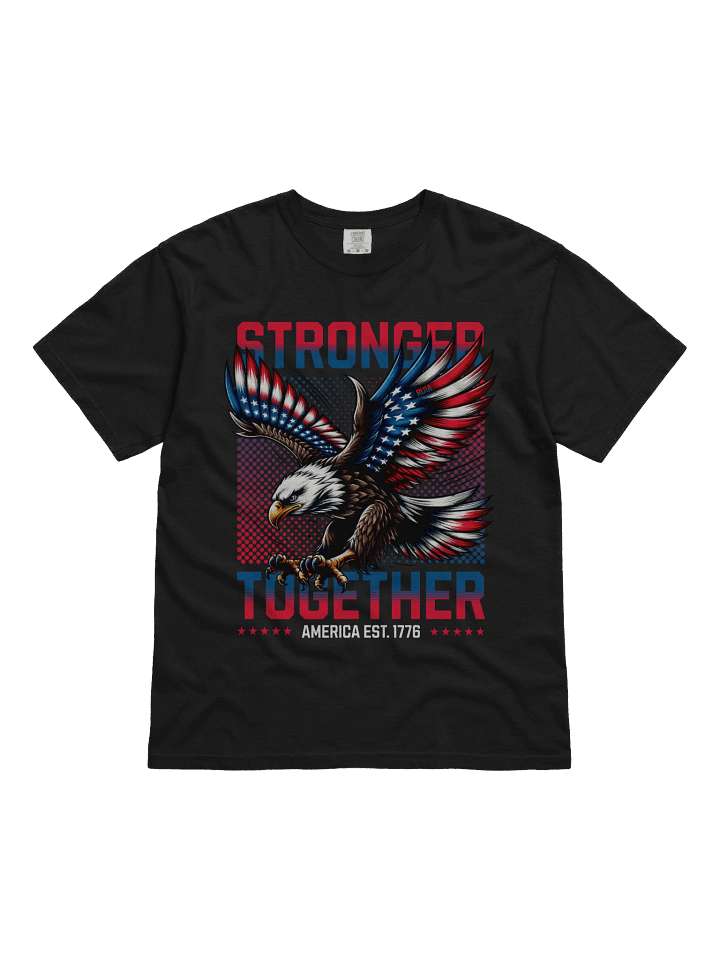 Stronger Together - America EST. 1776 product image (1)