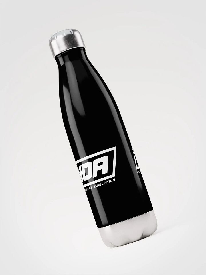 National Dodgeball Association Stainless Steel Water Bottle product image (1)