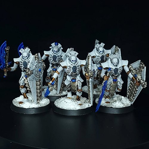 The first five Lychguard for Chris' Necron collection!

If you'd like to commission me, check my pinned posts!
Https://Roll1T...