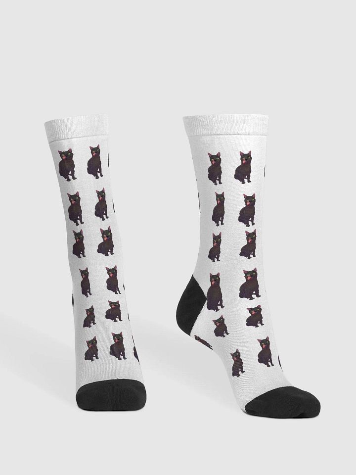 Raven socks product image (2)