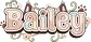 Baileymations