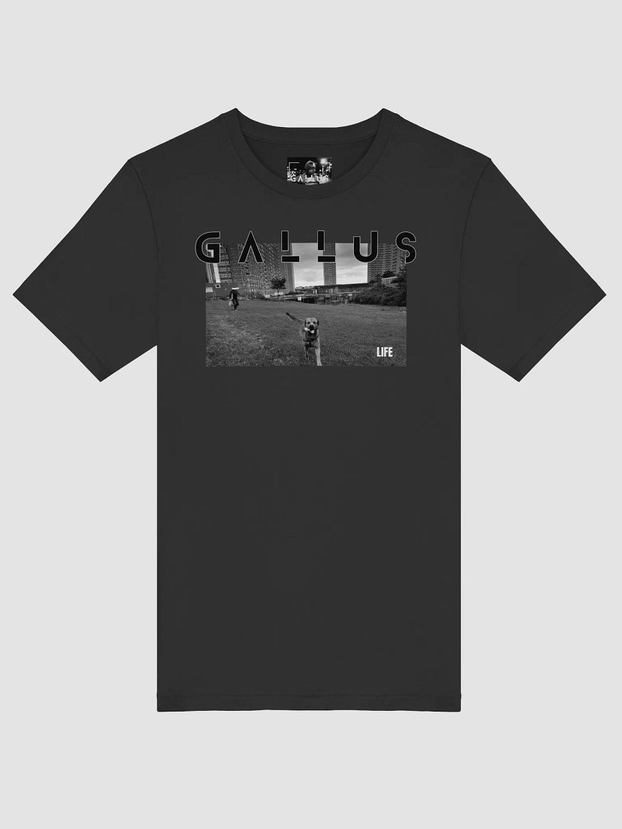 Gallus 2025 Life Collection product image (41)