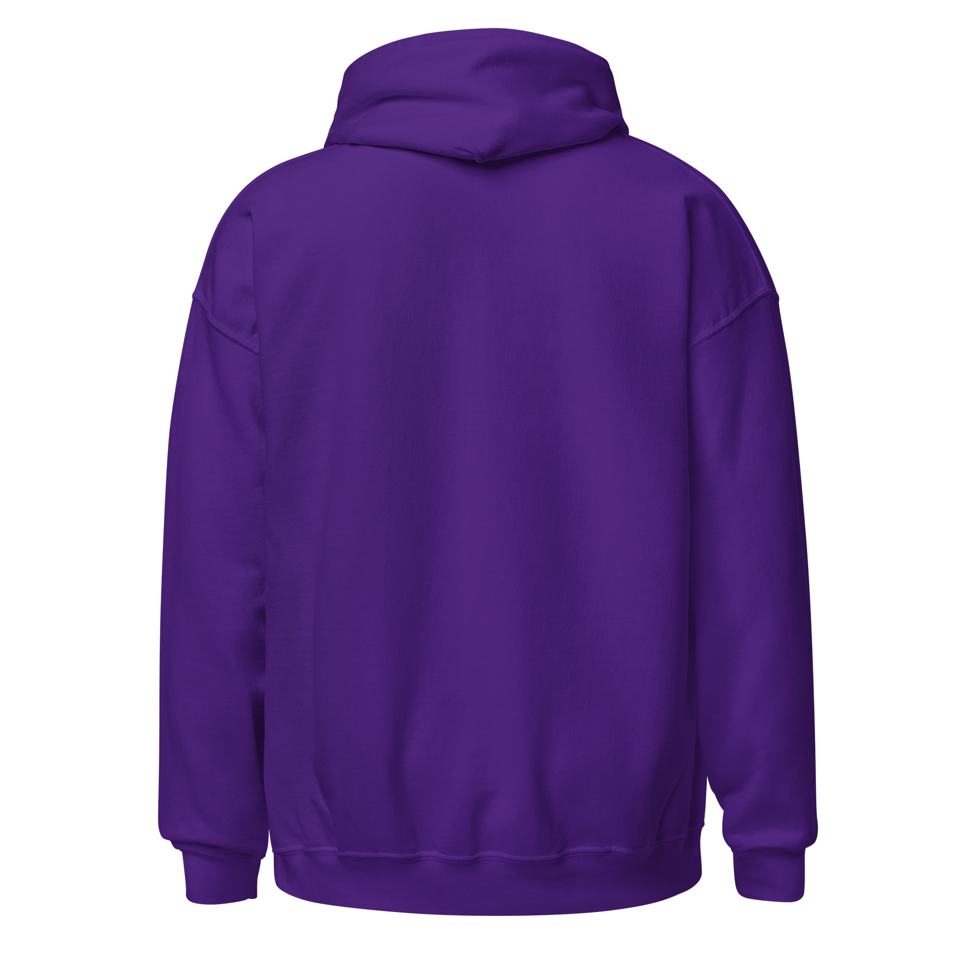 Saygrae Logo Hoodie product image (4)