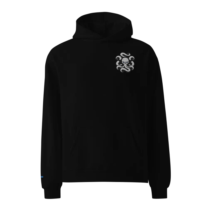 Embroidered Hoodie product image (1)