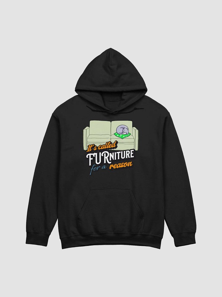It's called FURniture for a reason - Cat Hoodie product image (1)