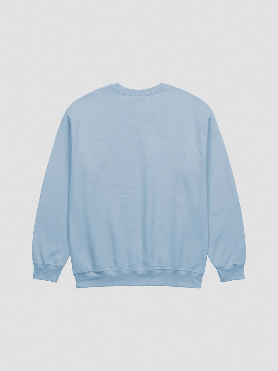 Ask Me Embroidered Sweatshirt product image (2)