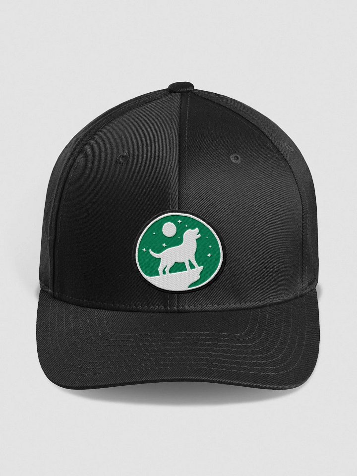 Fitted Cap - The Indecision Lab product image (1)