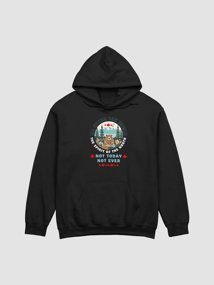 Snow Beaver Classic Hoodie product image (2)