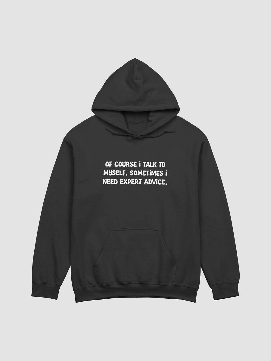 of course i talk to myself Hoodie product image (1)