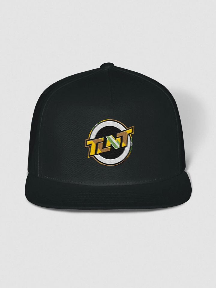 TLNT SNAP BACK product image (5)