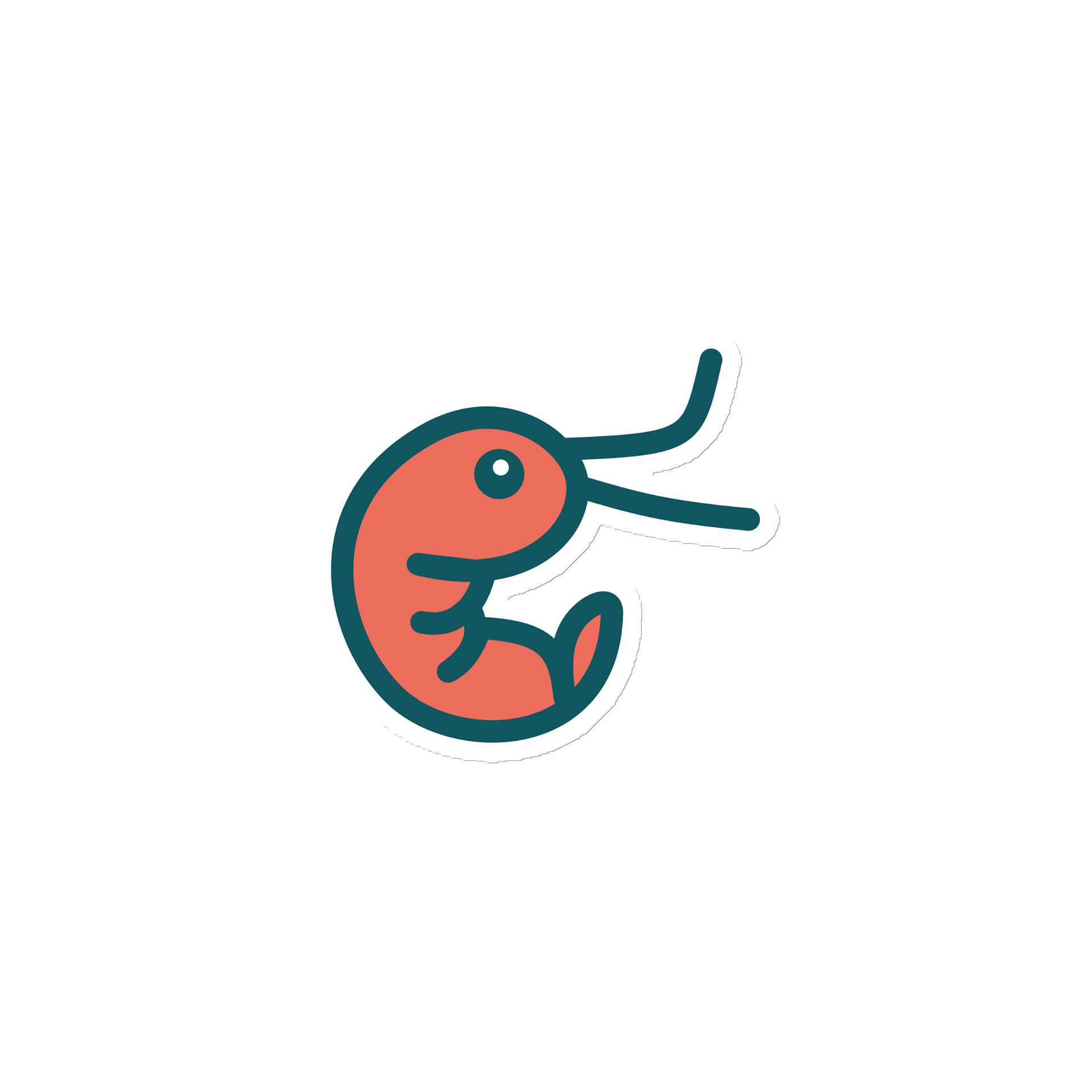 Shrimp on a magnet product image (1)