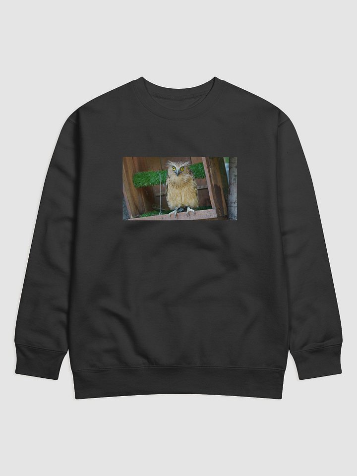 Owl Eyes Premium Sweatshirt product image (1)
