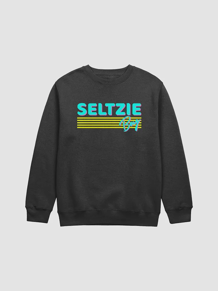 Seltzie Boy Sweatshirt product image (1)