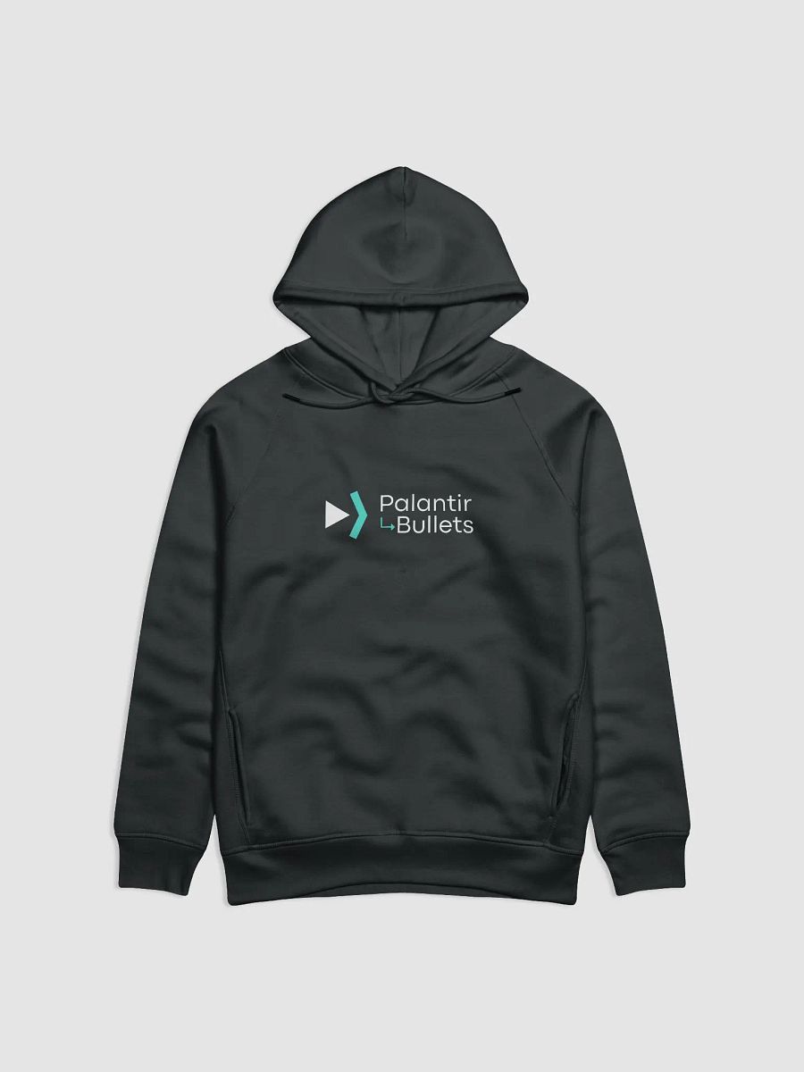 Palantir Bullets Hoodie Black product image (1)