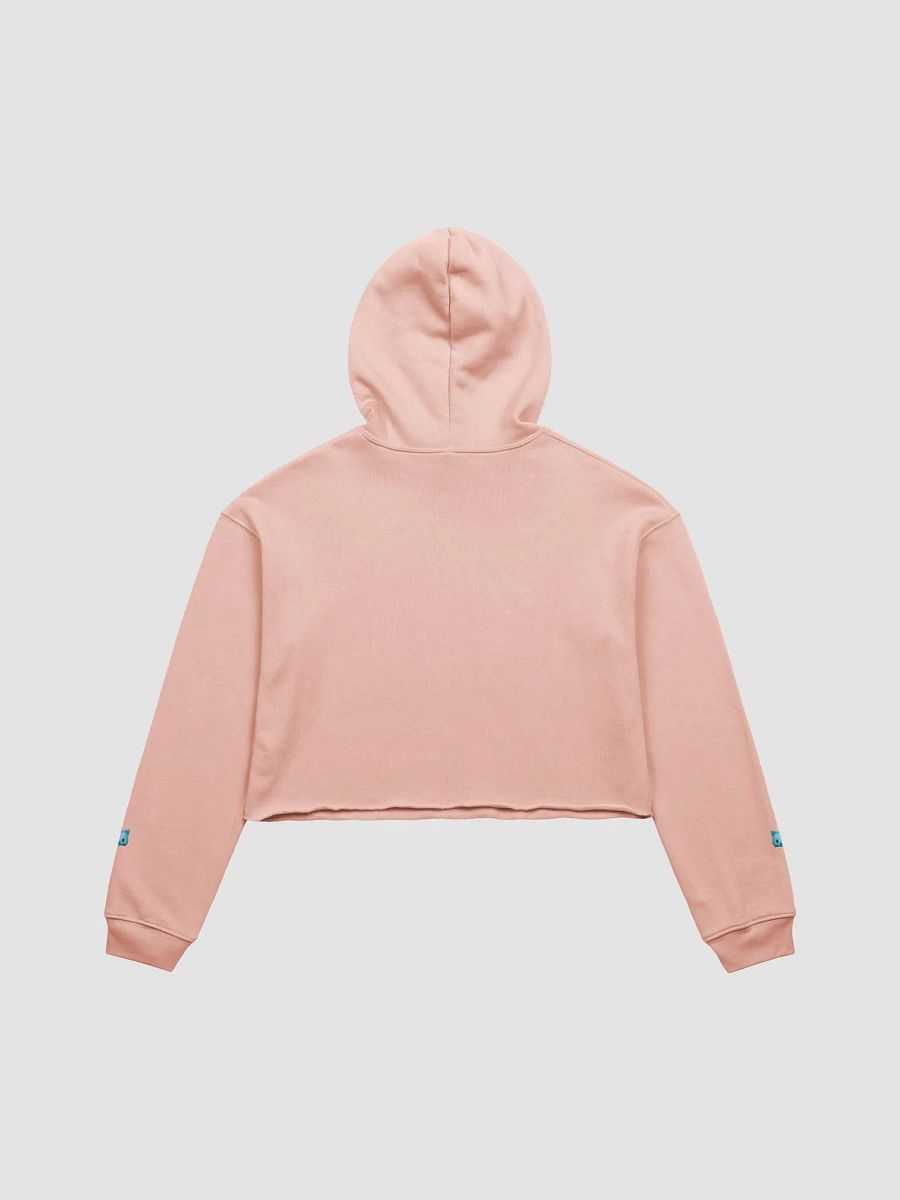 Akuma Miko Crop Hoodie product image (2)