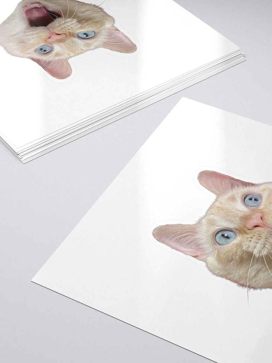 Happy Muenster Sticker product image (5)