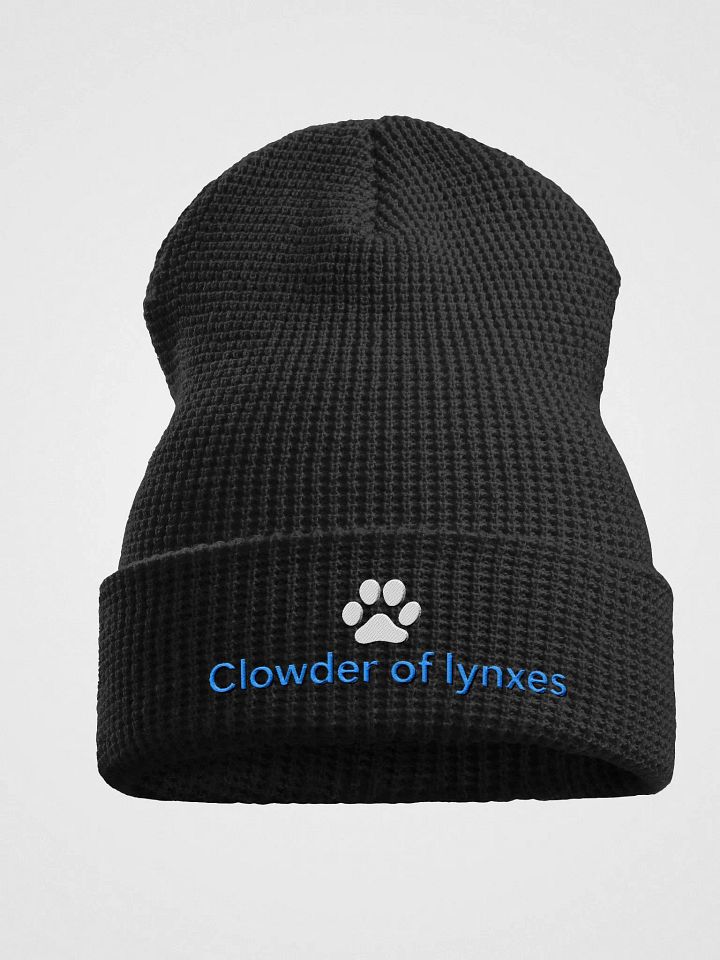 Clowder beanie product image (1)