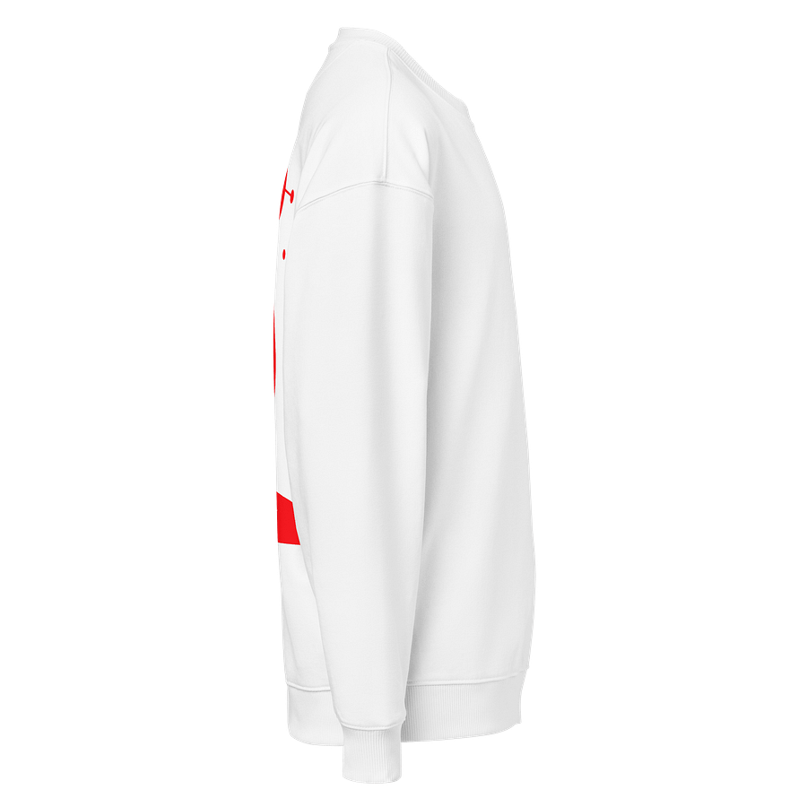 Stanley/Stella Unisex Organic Oversized Sweatshirt (Vegan) product image (4)