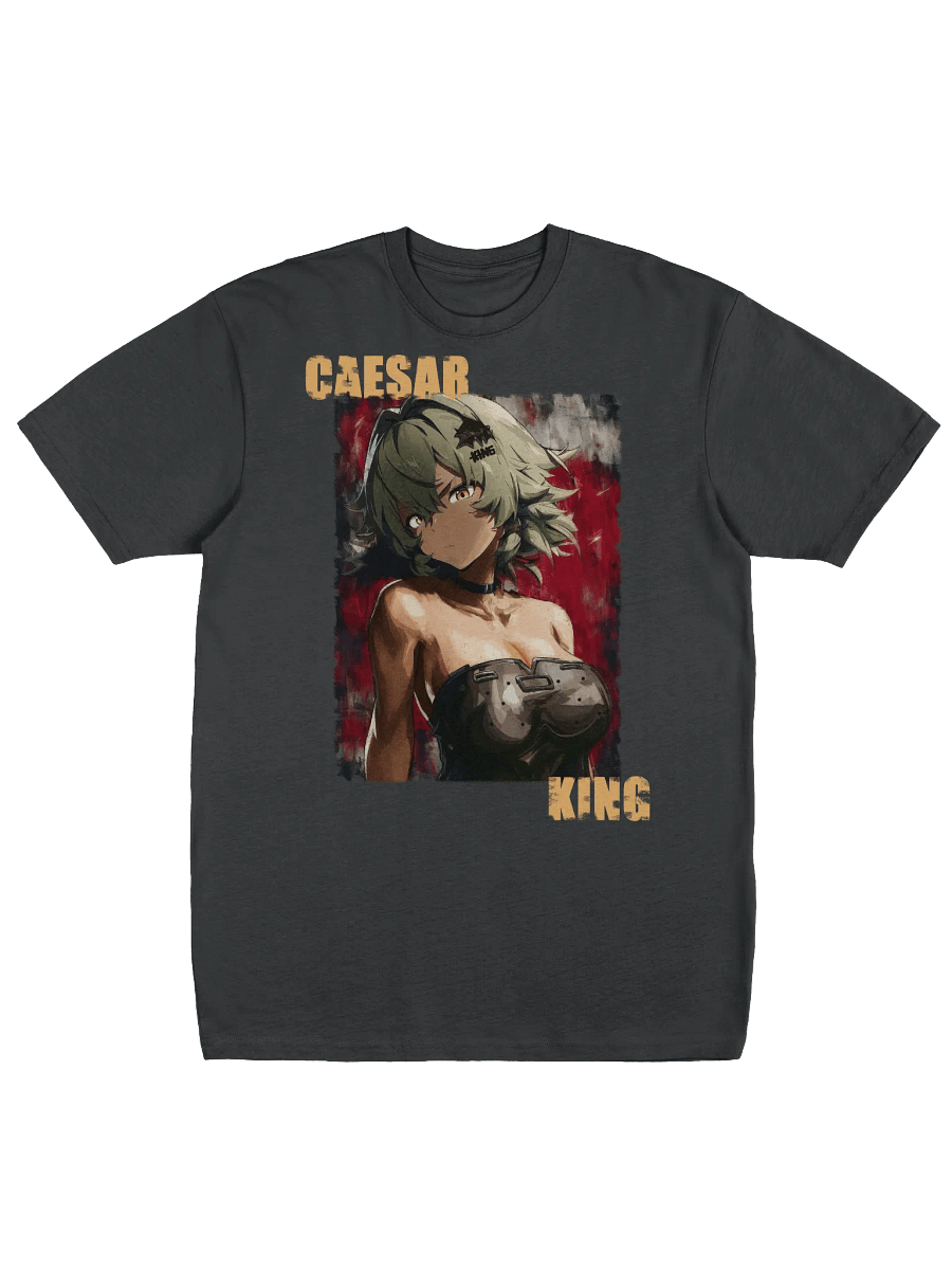 HAIL TO THE KING! Caesar King Cotton Premium Heavyweight Tee product image (7)