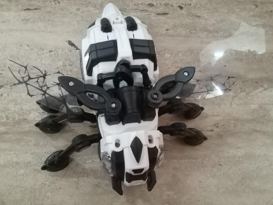 INSECT BEES TOY product image (1)